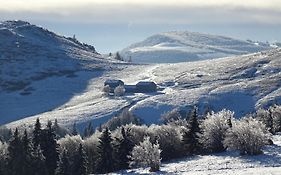 La Salamandre